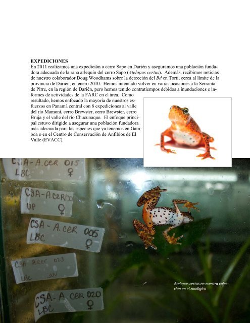 informe anual 2011 - Amphibian Rescue and Conservation Project