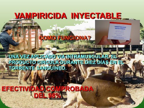 Rabia Paralítica Bovina - ugrnv.com.mx