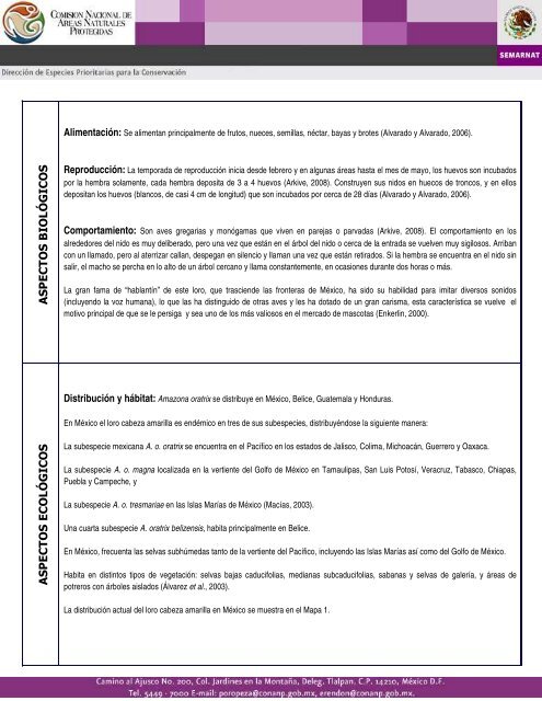 Ficha de Identificación: Loro Cabeza Amarilla - Semarnat