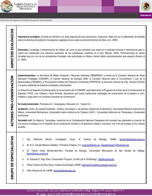 Ficha de Identificación: Loro Cabeza Amarilla - Semarnat