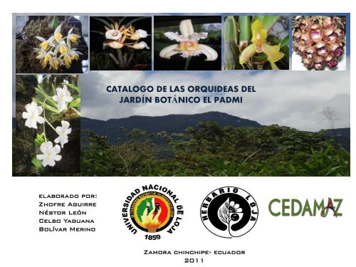 Catálogo orquideas - Universidad Nacional de Loja