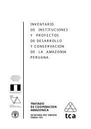 INVENTARIO DE INSTITUCIONES Y PROYECTOS DE ... - OTCA