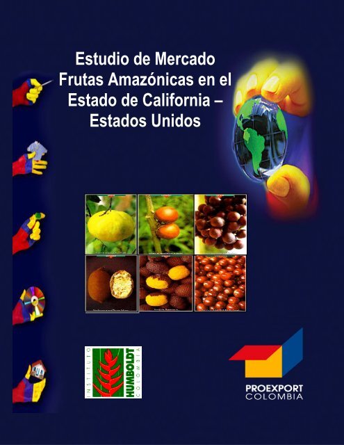 Estudio de Mercado Frutas Amazónicas en el Estado de California ...