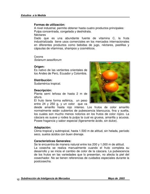 Estudio de Mercado Frutas Amazónicas en el Estado de California ...