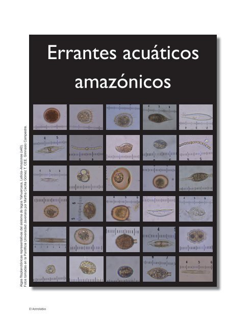 Errantes acuáticos amazónicos - Revista El Astrolabio