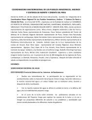 coordinadora macroregional de los pueblos amazonicos, andinos y ...