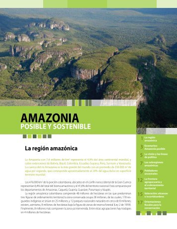 La región amazónica - Cepal