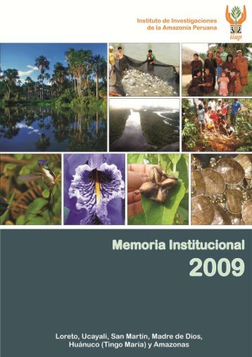 memoria completa año 2009 - Instituto de Investigaciones de la ...