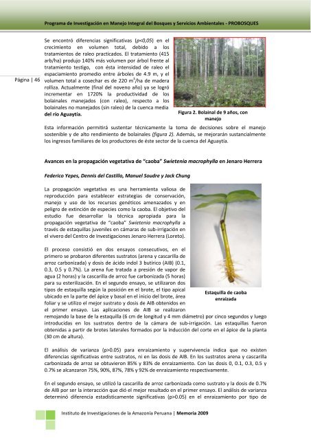 memoria completa año 2009 - Instituto de Investigaciones de la ...