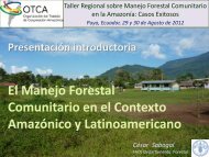 El Manejo Forestal Comunitario en el Contexto Amazónico y ...