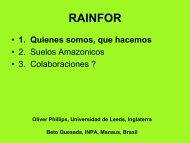 Proyecto RAINFOR, presentación y sinergías con nuestro proyecto.