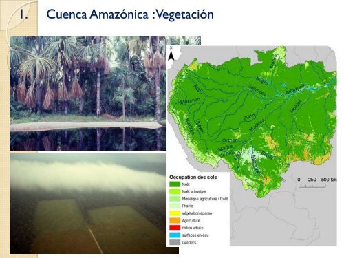 Hidrología de la Cuenca Amazónica