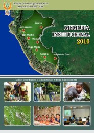Memoria Institucional 2010 - Instituto de Investigaciones de la ...