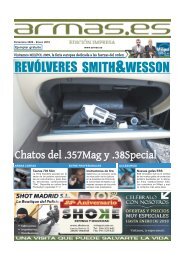 Chatos Del .357Mag Y .38Special - Armas.es