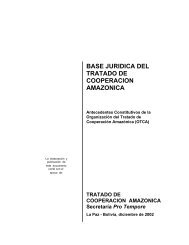 base juridica del tratado de cooperacion amazonica - OTCA