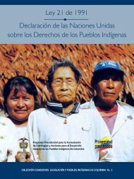 Ley21-1991-Declaracion-Onu-derechos-pueblos-indigenas