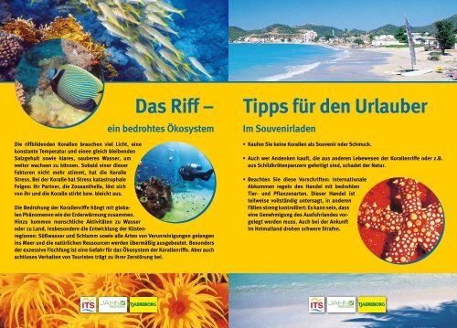 Download der Broschüre "Korallen - Tipps und Infos ... - REWE Group