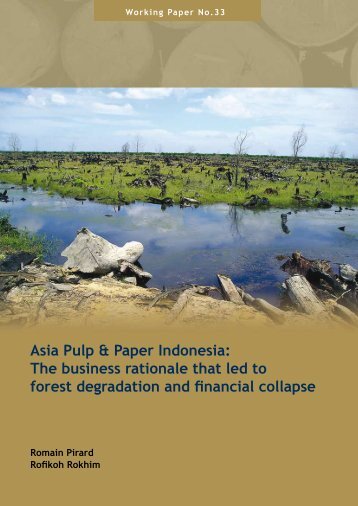 Asia Pulp & Paper Indonesia: The business rationale ... - Robin Wood