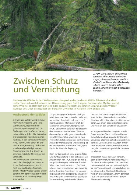 Karelien: Urwald zwischen Schutz und Vernichtung - Robin Wood