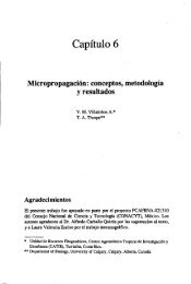 Micropropagación: conceptos, metodología y resultados
