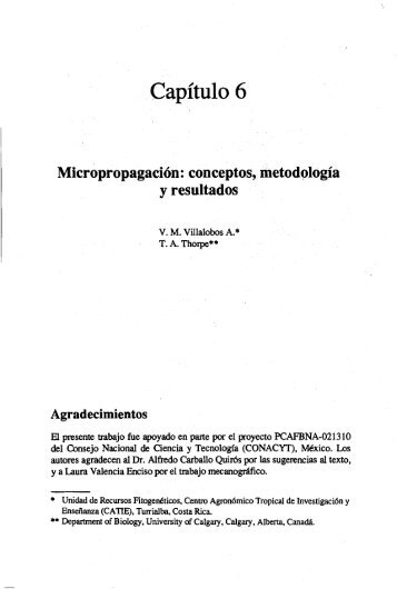 Micropropagación: conceptos, metodología y resultados