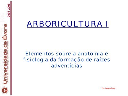 elementos sobre anatomia e fisiologia do enraizamento adventicio.pdf