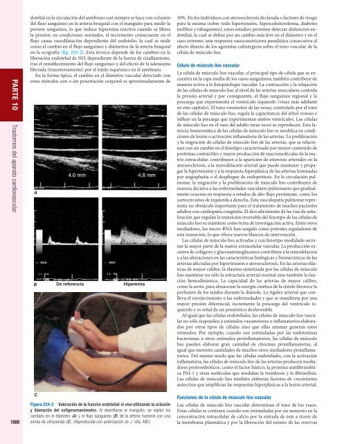 Capítulo 224-Biología básica del aparato cardiovascular - McGraw-Hill