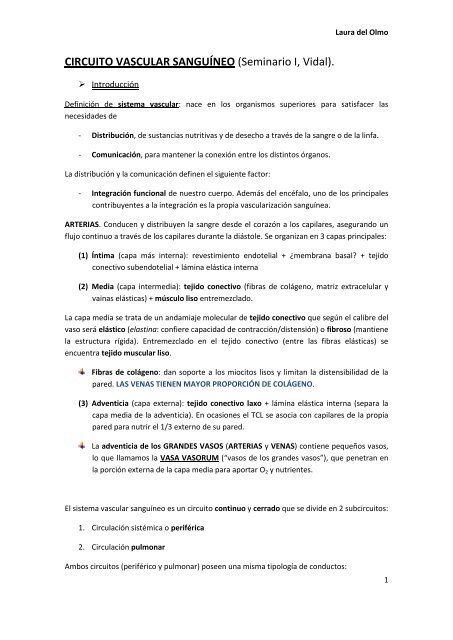 Circulación sistémica de la sangre del corazón
