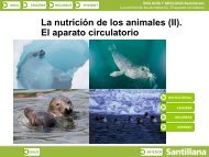 Aparato circulatorio en los animales - ies 