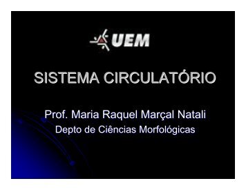 SISTEMA CIRCULATÓRIO - DCM