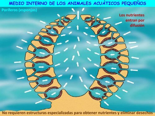 Circulación - ies "poeta claudio rodríguez"