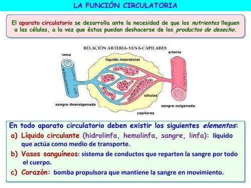 Circulación - ies "poeta claudio rodríguez"