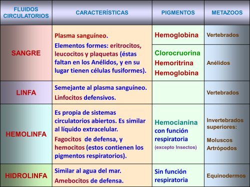 Circulación - ies "poeta claudio rodríguez"