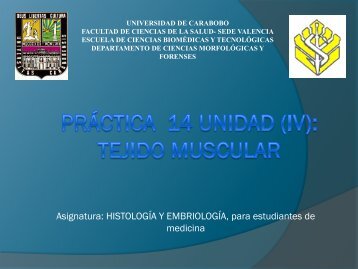 Práctica unidad vi: tejido conjuntivo especializado - Universidad de ...