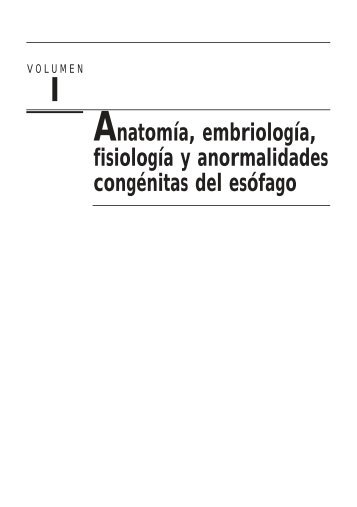 Anatomía, embriología, fisiología y anormalidades ... - Axon