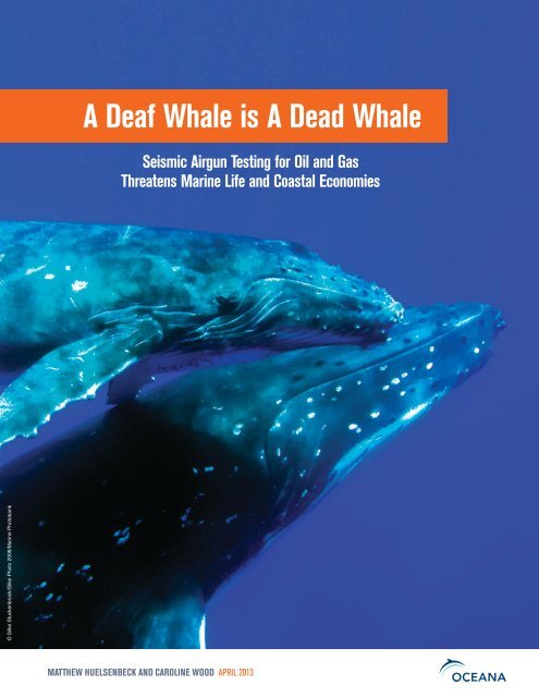 A Deaf Whale is A Dead Whale