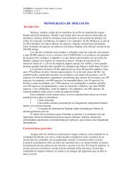 MONOGRAFIA DE MOLUSCOS