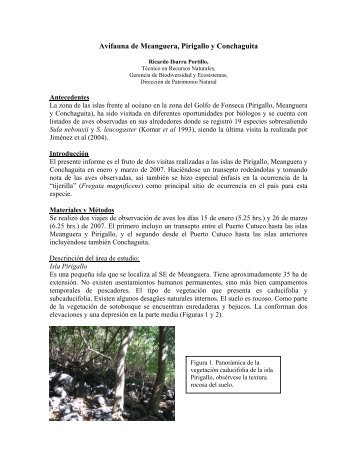 Avifauna de Meanguera, Pirigallo y Conchaguita - Ministerio de ...