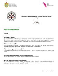 Dengue PREGUNTAS FRECUENTES