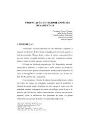 propagação in vitro de espécies ornamentais ... - Editora UFLA