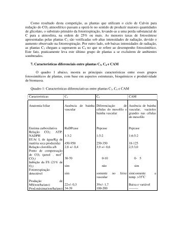 PDF Colorido - Departamento de Biologia ( UFLA )