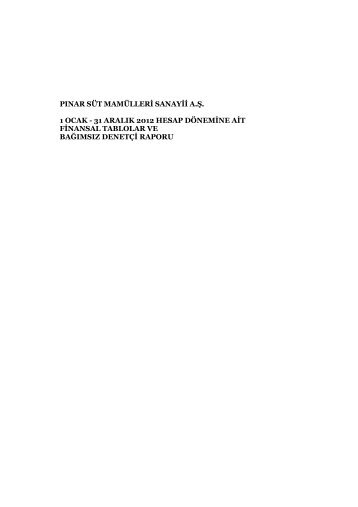 Yıl Sonu Finansal Tablolar ve Bağımsız Denetim Raporu - Pınar