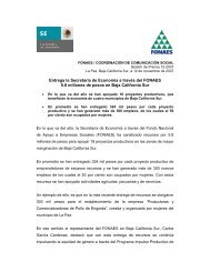 Entrega la Secretaría de Economía a través del FONAES 5.8 ...