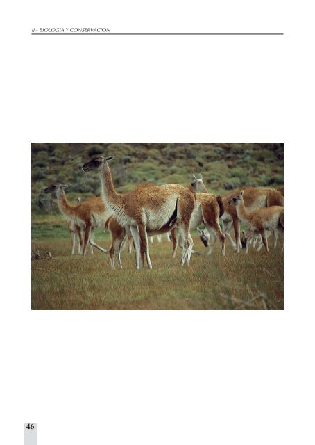 Guanacos y Vicu.as_1_141.p65 - SAG - Servicio Agrícola y Ganadero