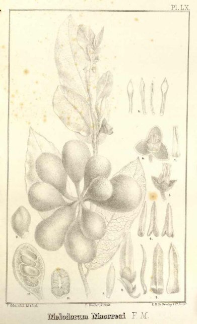 Fragmenta phytographiÃ¦ AustraliÃ¦ /contulit Ferdinandus Mueller.