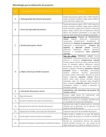 Metodología para la elaboración de proyectos - Consejo Nacional ...