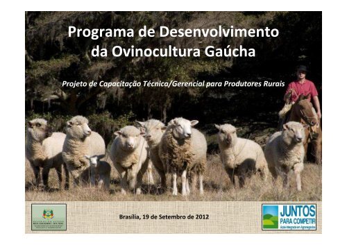 App programa desenvolvimentos de  ovinocultura gaucha