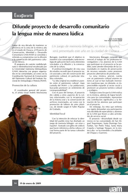 Andrea Revueltas Peralta, Profesora Distinguida de la UAM