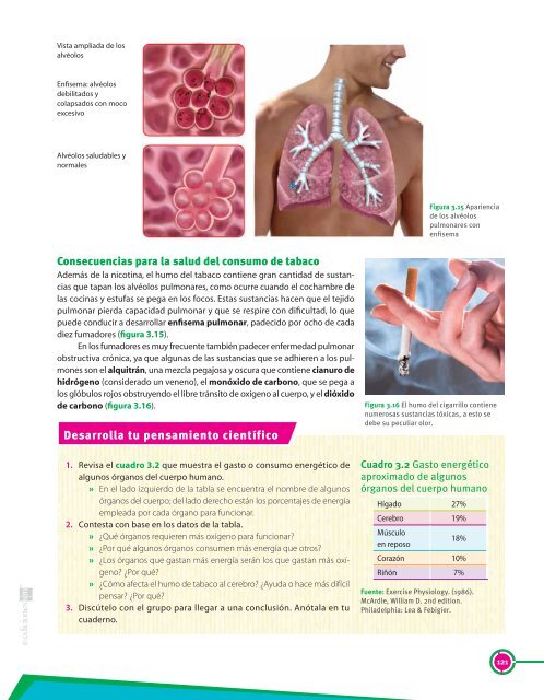 La respiración y su relación con el ambiente y la ... - Secundaria SM