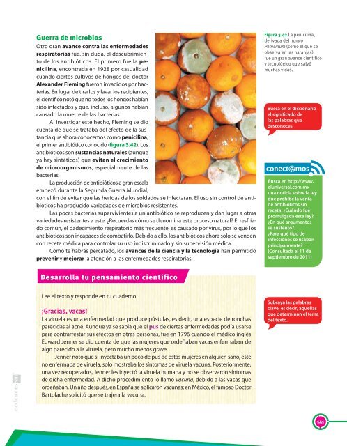 La respiración y su relación con el ambiente y la ... - Secundaria SM